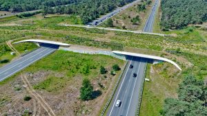 Read more about the article 12. Maanschoten Wildlife Crossing: A unique place, a unique project